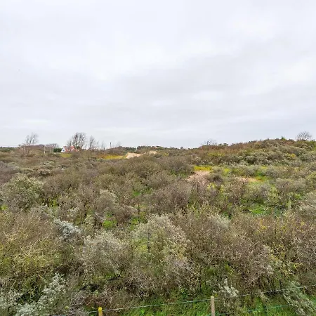 Renovated Hortensia Next To The Dunes Villa